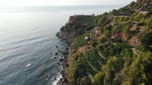 Turkey Mountain Coastline  Shore Mediterranean Sea