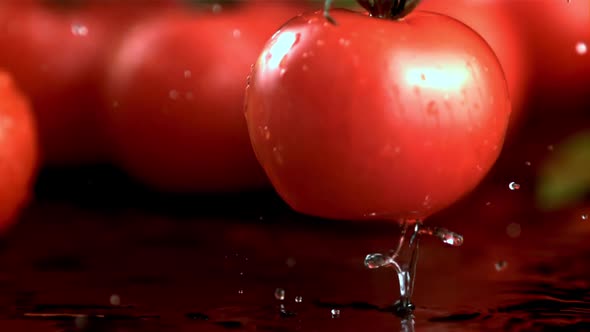 Fresh Tomatoes Fall on the Table with Splashes of Water