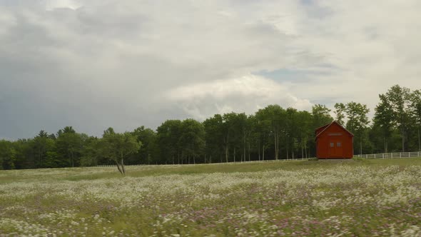 Lone tree and cabin stand among wildflowers in fallow field, Orbit aerial