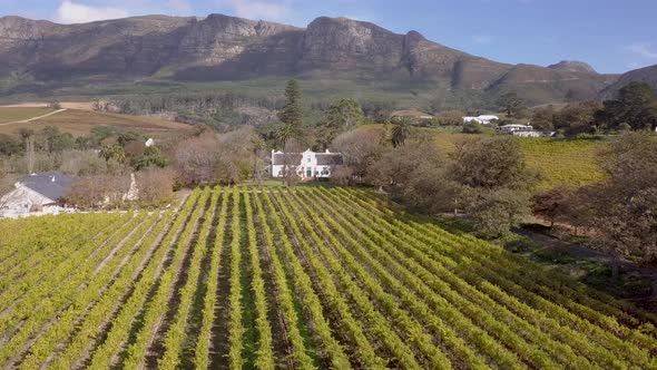 Aerial over wine farm in Cape Town