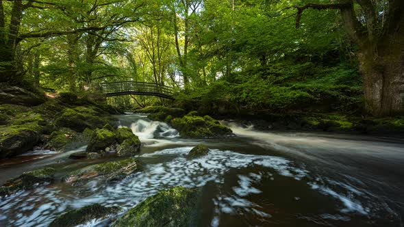 Panorama time lapse of spring forest park waterfall surrounded by trees with rocks and walking bridg