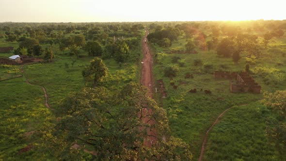 sunset within natural green vegetation _1