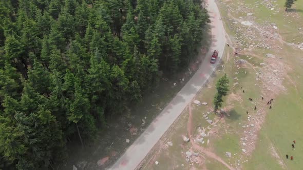 Aerial View Of Truck On Road Near Trees At UHSU Forest. Top Down View