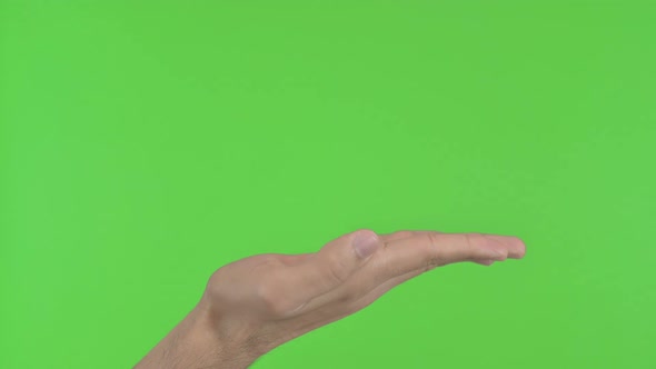 Hand Showing Gesture Green Chroma Key