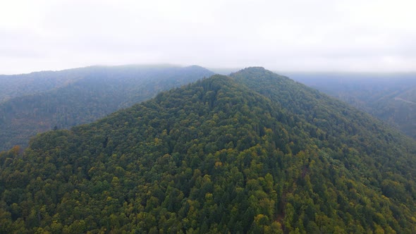 Green Carpathian Mountains in Ukraine