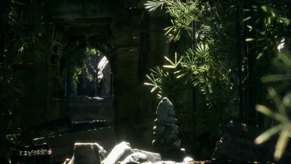 The Ruins of Ancient Buildings in Green Bamboo Forest