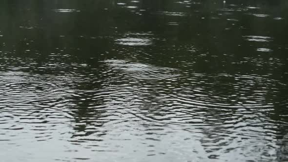 Rain Falling On Lake
