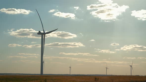 Silhouette Windmills for Electric Power Production in the Meadow at Sunset. Group of Windmills for