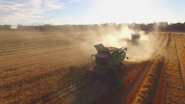 Harvester Combines, Field and Dust.