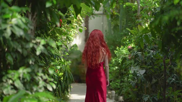 Redhead woman walking in a greenhouse