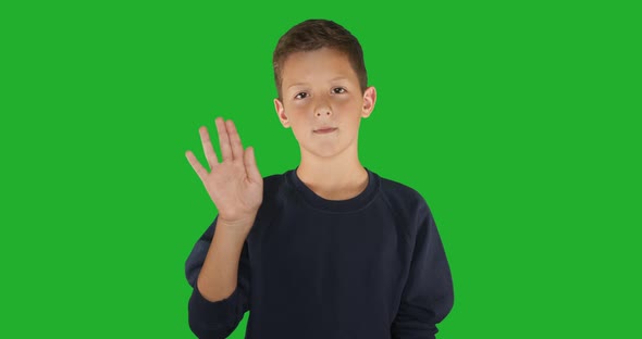 Deaf Boy Signing I Know Sign Language, Communication for Hearing Impaired. Green Screen