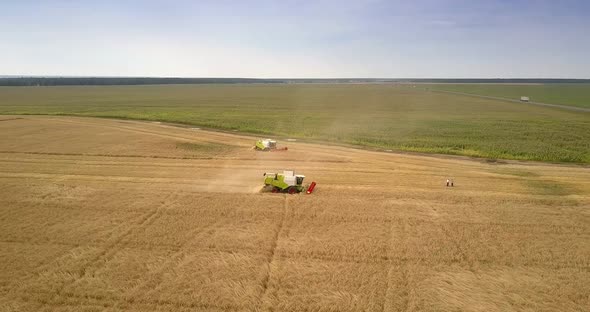 Panoramic View Farmers in Field and Harvesters Cut Off Crop