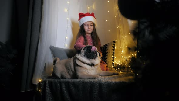 Little Cute Girl in Santa Hat Giving a Gift to a Pug Dog Sitting on the Windowsill Decorated with a