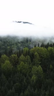 Vertical Video of Fog in the Mountains