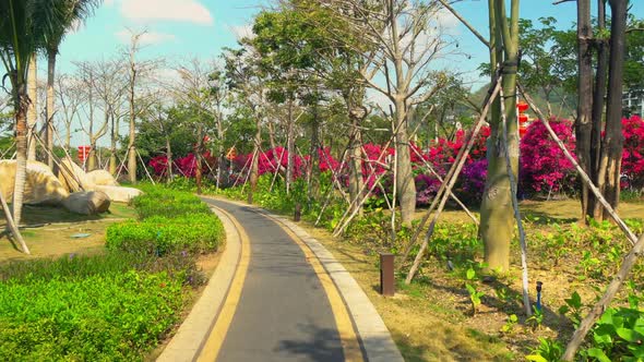 Colorful Greenery in a Big City