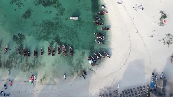 Vertical Video of the Coast of Zanzibar Island Tanzania Slow Motion