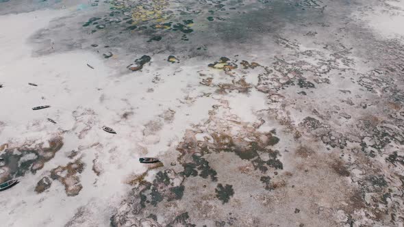 Lot of Fishing Boats Stuck in Sand Off Coast at Low Tide Zanzibar Aerial View