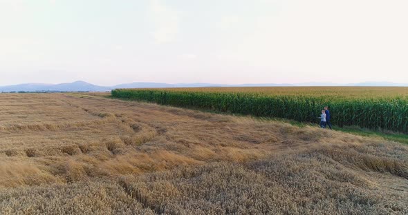 Young Farmers Discussing At Maize Field