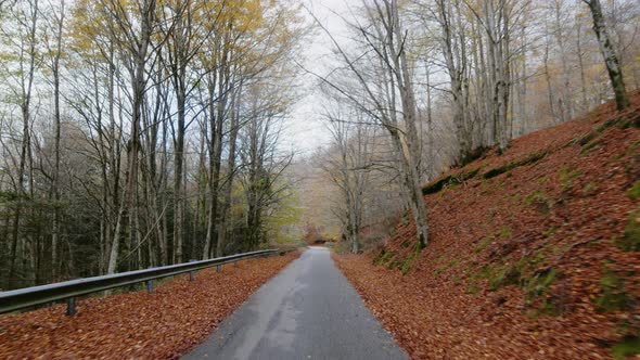 Autumn Street in Aspromonte