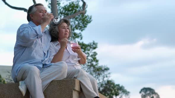 Retirement couples drinking and relax