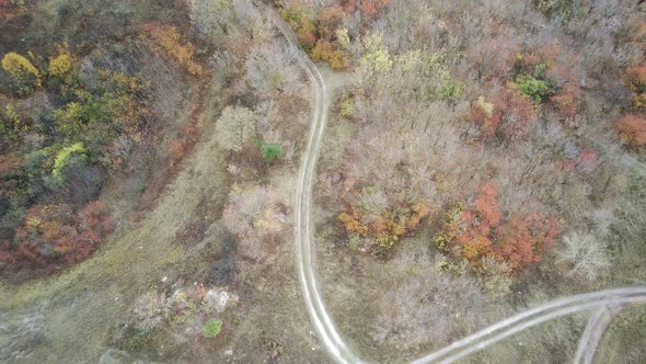 Aerial View of Path in Countryside