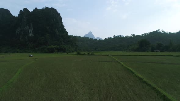 Rice fields near town of Vang Vieng in Laos seen from the sky