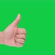 HAND (Green Sceen) hand signal - Good, Like #1 - VideoHive Item for Sale