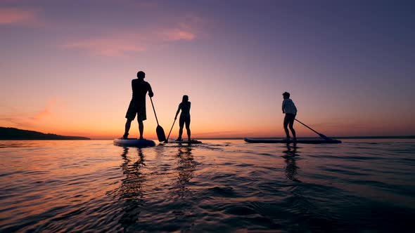 Backside View of Young People Paddleboarding at Sunset