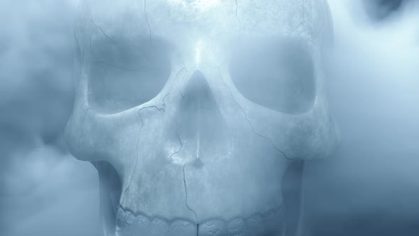 Textured Skeleton Skull in Smoke