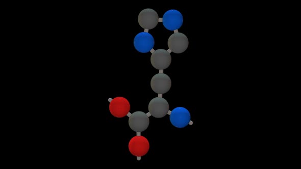 L-Histidine - Amino acid model