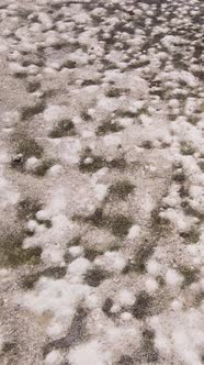 Vertical Video of Low Tide in the Ocean Near the Coast of Zanzibar Tanzania