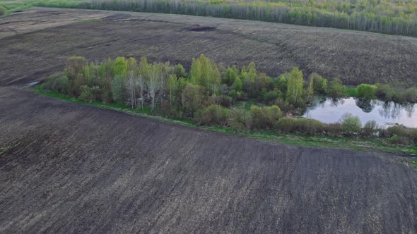 Flight Over the Fields in the Suburbs of St. Petersburg 81