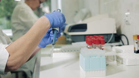 People Work with Plastic Tubes in Laboratory.