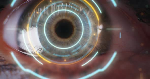 Closeup of Eye Biometric Authentication