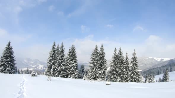 Winter Mountain Landscape with Blue Sky at Sunny Day Carpathians Ukraine