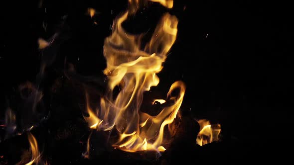 Bonefire, Fire flames in campfire, campsite at Masai Mara Park, Kenya, slow motion