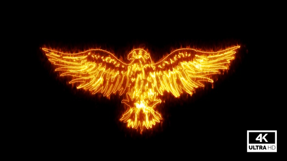 Burning Eagle Isolated On Black Background alt