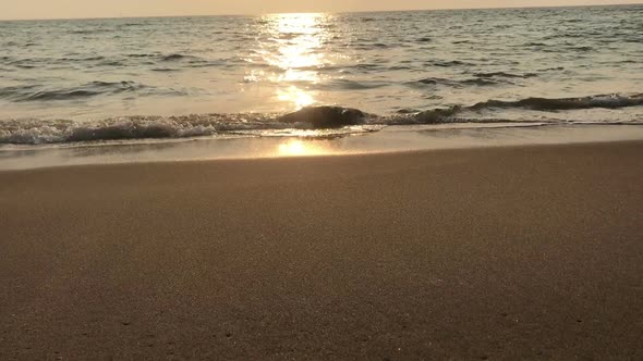 Poor Young Dolphin Laying Dead on the Beach, Indian Seaside, Ecological Catastrophe, Nature Disaster