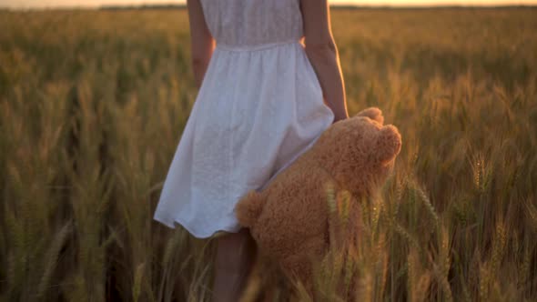 A Young Woman Walks Through a Wheat Field with a Teddy Bear at Sunset. Close-up of a Girl Holding a