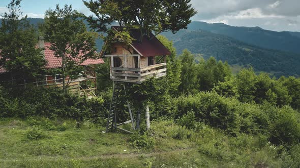 Aerial Tree House on Top Forest Slope Hotel in Mountains