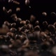 Coffee Beans Fall on a Solid Black Surface - VideoHive Item for Sale