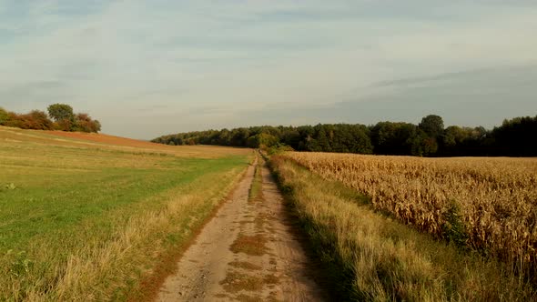 Flight over fields in sunset light.