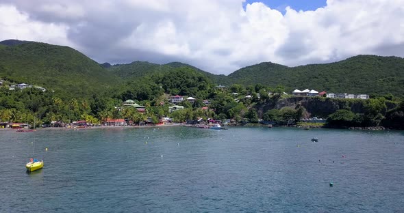 Palm Trees And Vacationing Tourists In Guadeloupe