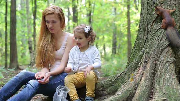 A Cute Little Girl and Her Mom Feed the Red Squirrels in the Park