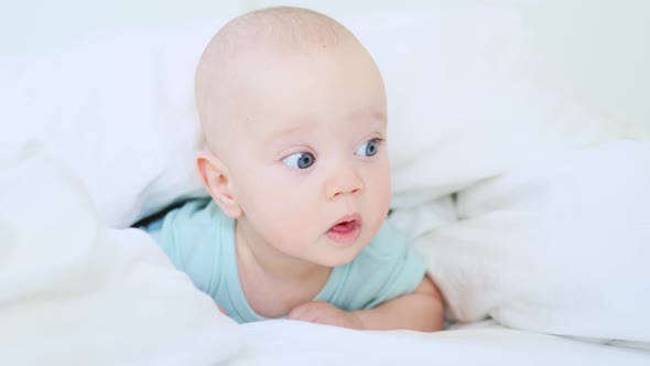 Funny Caucasian Baby Infant Lying in White Bed on Stomach in the Morning Happy