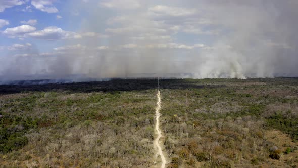 Smoke from deforestation fires burning in the Brazilian Pantanal pollute the sky - push in aerial vi