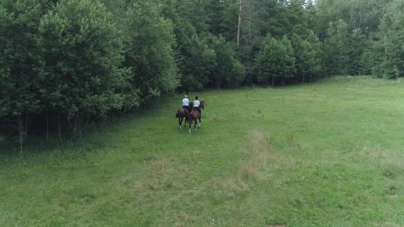 Couple of Nomads Man Cowboy and a Horsewoman Riding a Horses in a Clearing Near the Forest View From