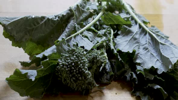 Closeup of fresh rapini rinsed and on a cutting board. shot with a rotating slider, right to left.