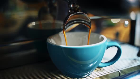 Barista makes coffee in cafe. Barista preparing cup of coffee for client in cafe