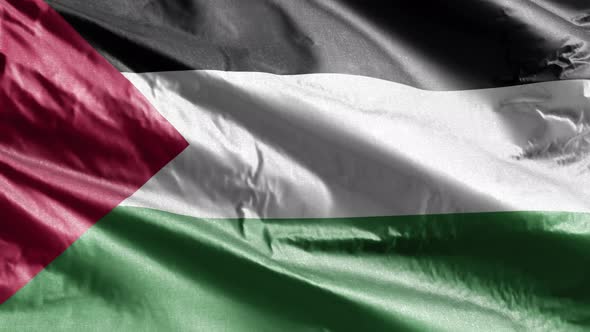 Palestine textile flag waving on the wind. Slow motion. 20 seconds loop.